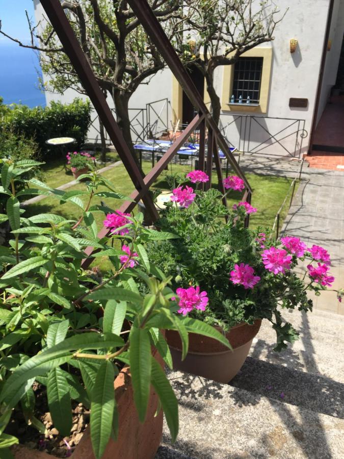 Villa L' Eco Dell' 800 Фуроре Экстерьер фото